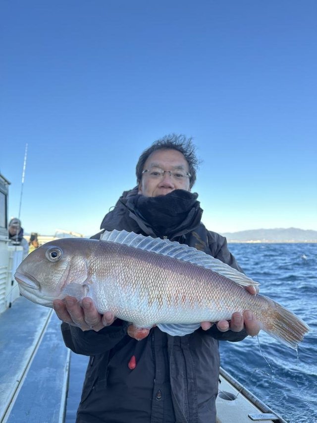 アマダイ(アカアマダイ)