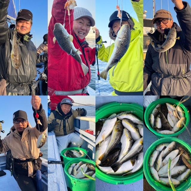 ショウサイフグ