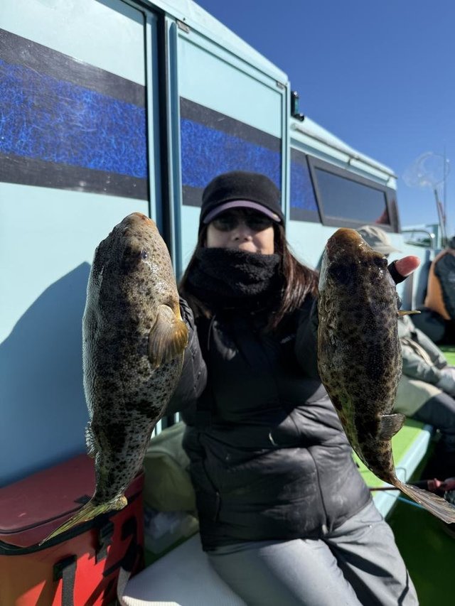 フグ(アカメフグ)