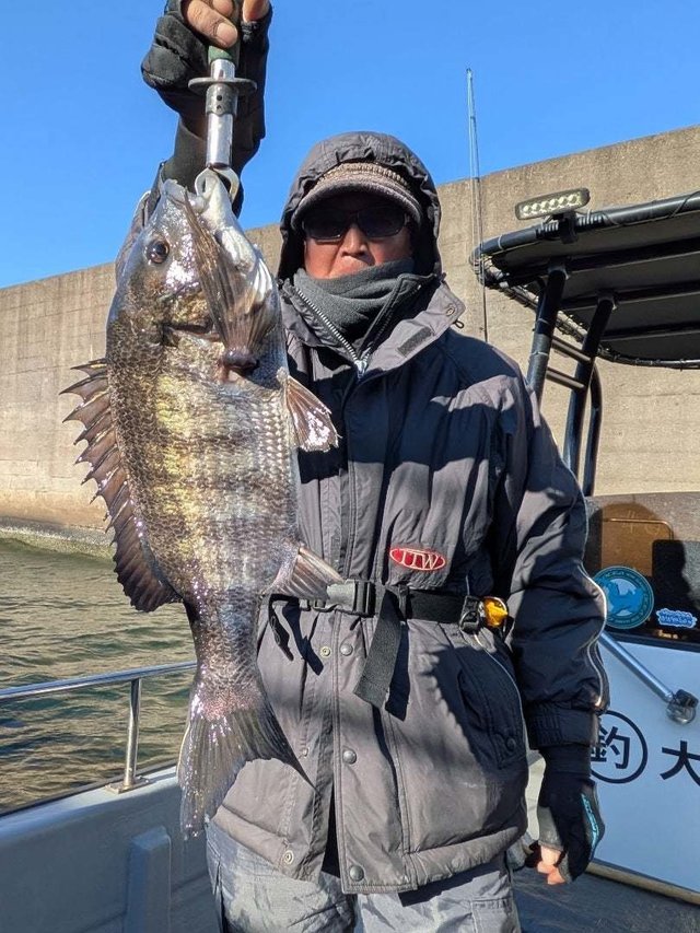 チヌ(クロダイ)