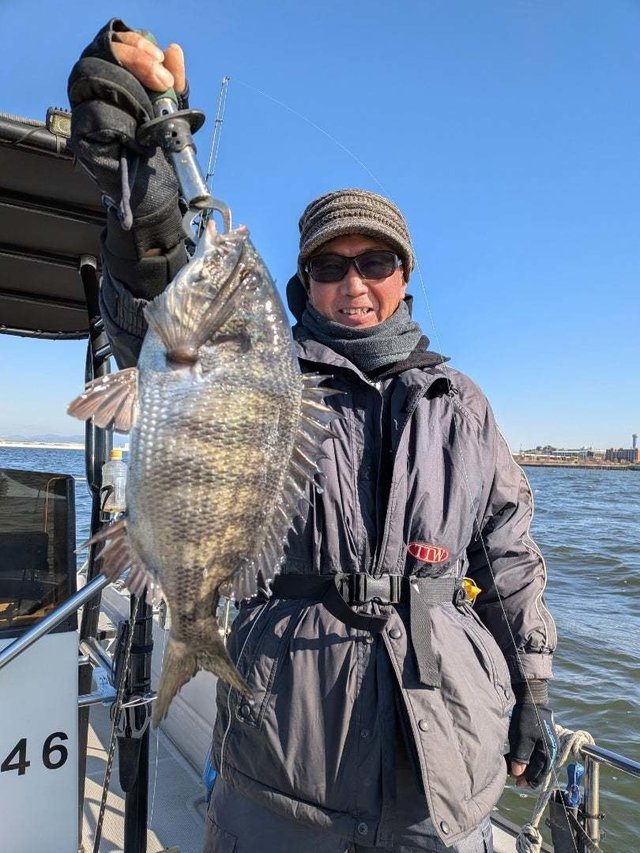 チヌ(クロダイ)