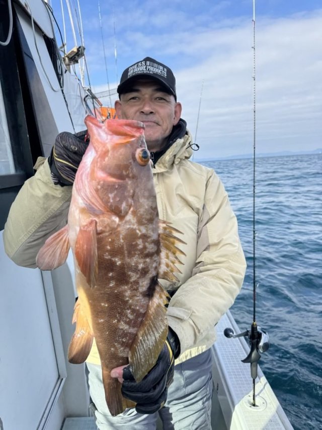 アコウ(キジハタ)