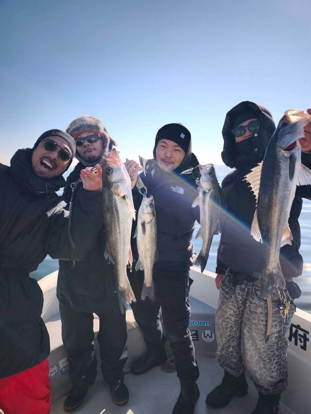 シーバス(スズキ)