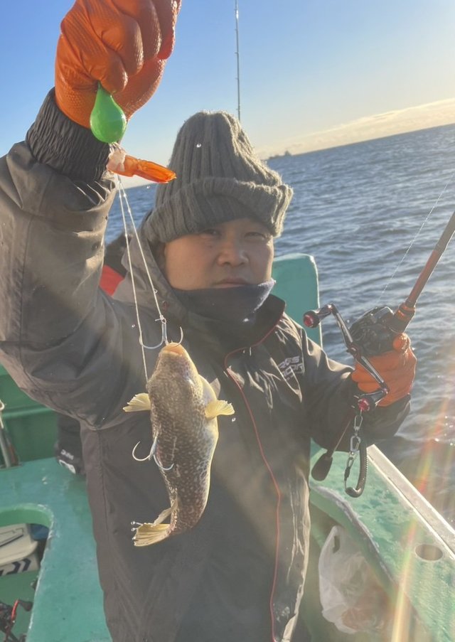 ショウサイフグ