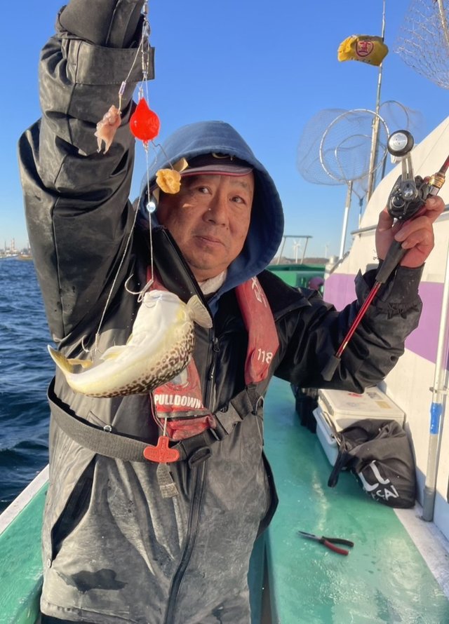 ショウサイフグ