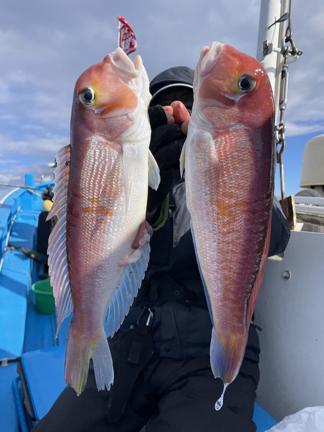 アマダイ(アカアマダイ)