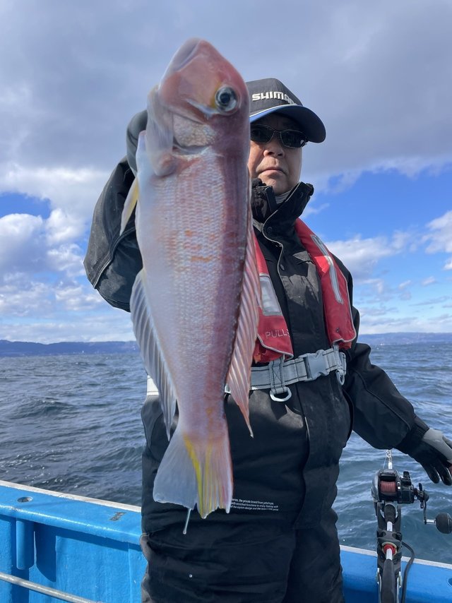 アマダイ(アカアマダイ)