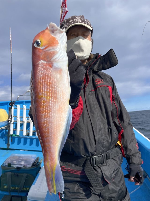 アマダイ(アカアマダイ)