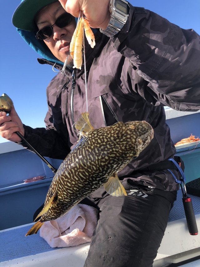 ショウサイフグ