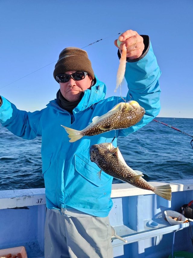 ショウサイフグ