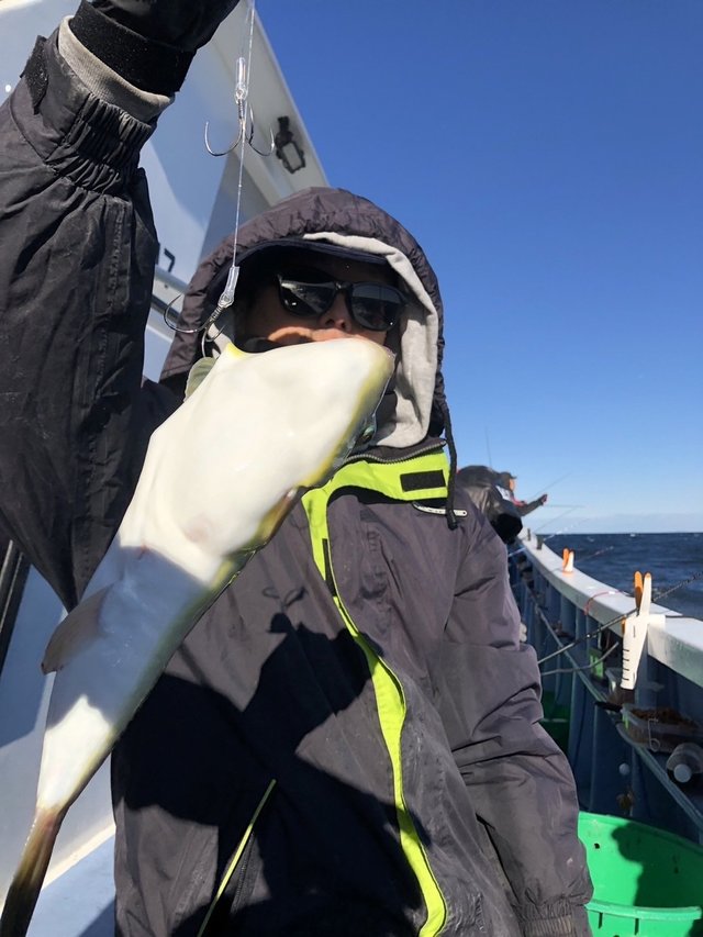 ショウサイフグ