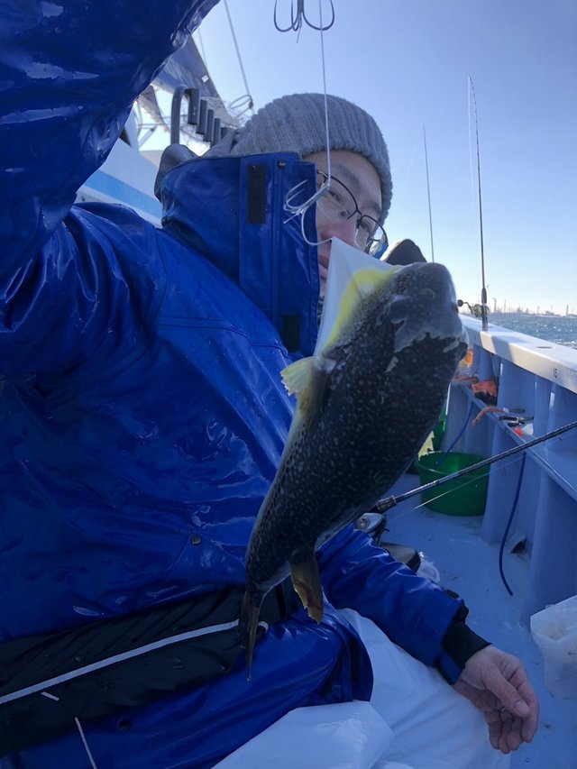 ショウサイフグ