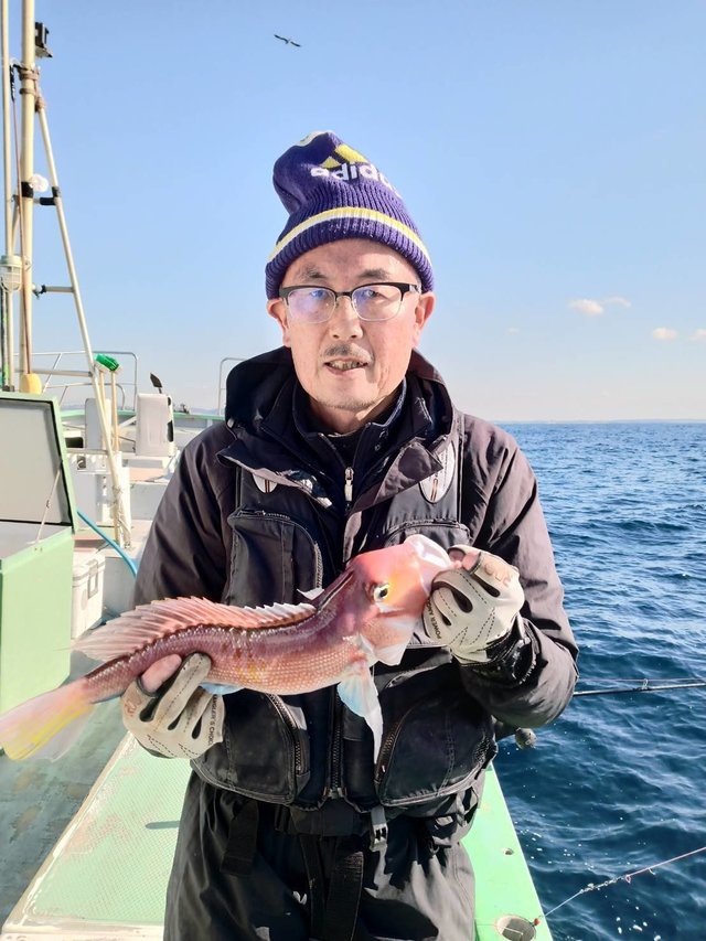 アマダイ(アカアマダイ)