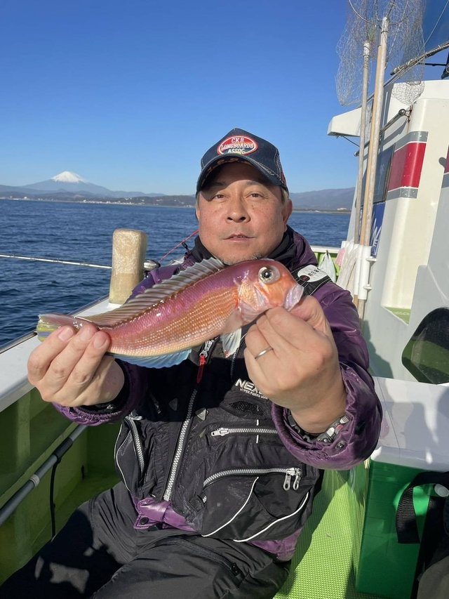 アマダイ(アカアマダイ)