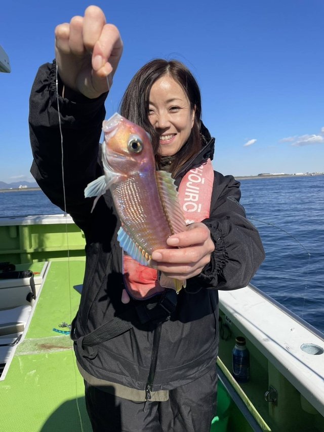 アマダイ(アカアマダイ)