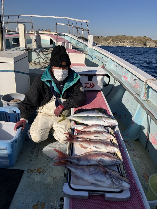 マダイ・イナダ(ブリ)