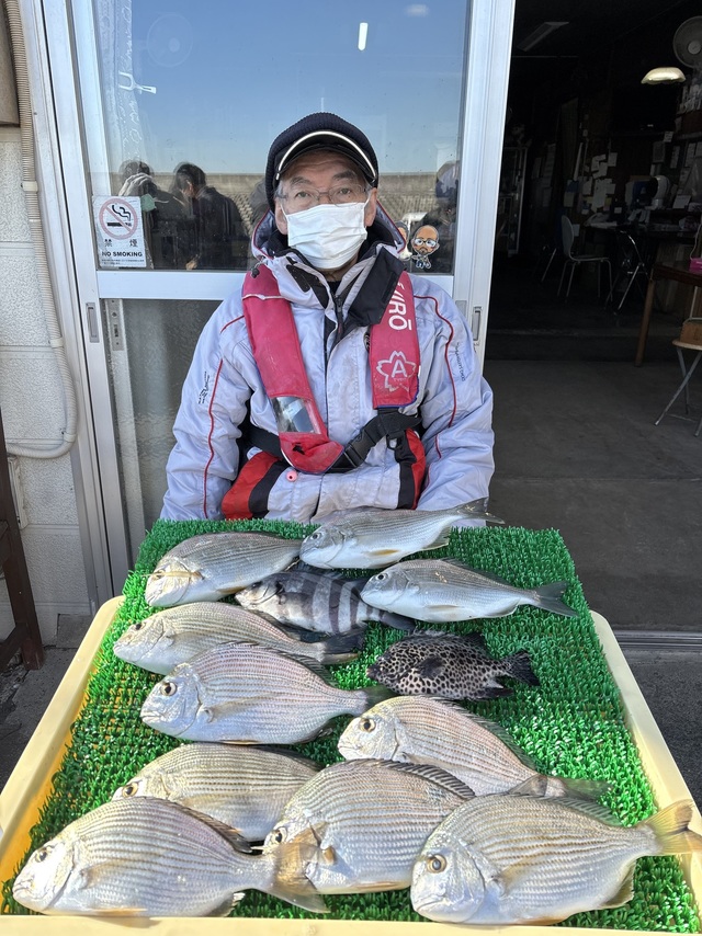 ヘダイ・イシダイ