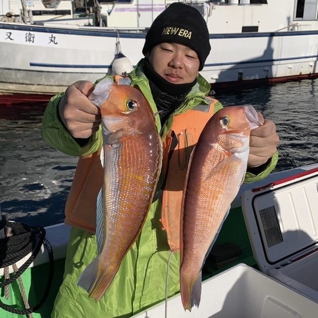 アマダイ(アカアマダイ)