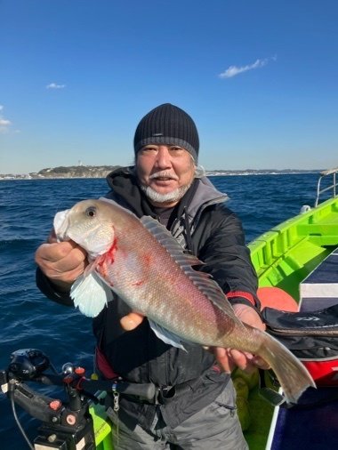 アマダイ(アカアマダイ)