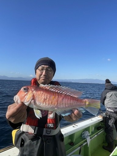 アマダイ(アカアマダイ)