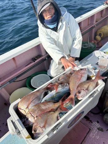 マダイ・イナダ(ブリ)