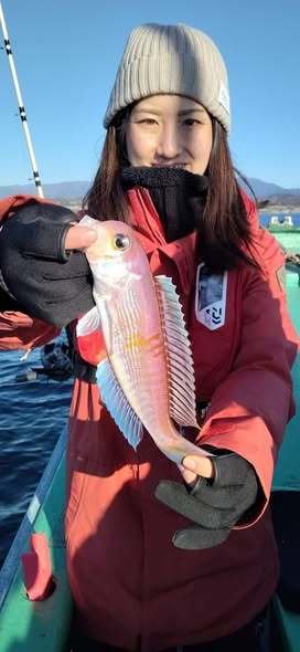 アマダイ(アカアマダイ)