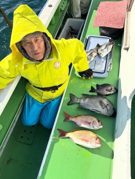 マダイ・クロダイ・イシダイ