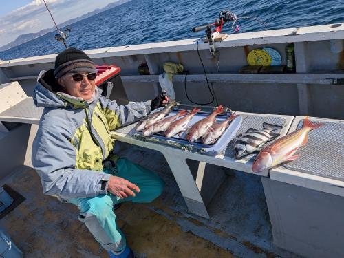 マダイ・イシダイ