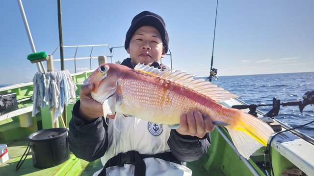 アマダイ(アカアマダイ)