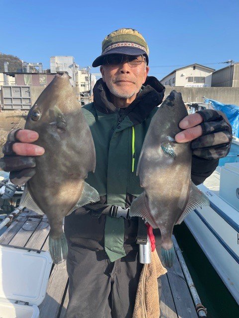 ウマヅラ(ウマヅラハギ)