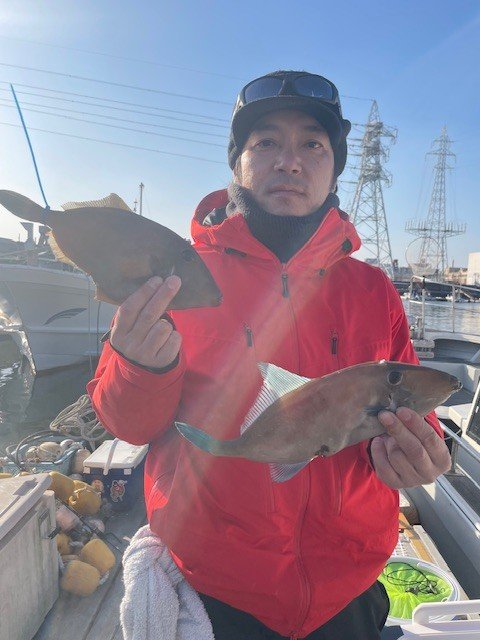 ウマヅラ(ウマヅラハギ)