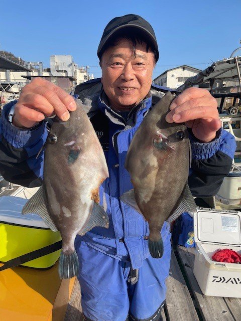 ウマヅラ(ウマヅラハギ)