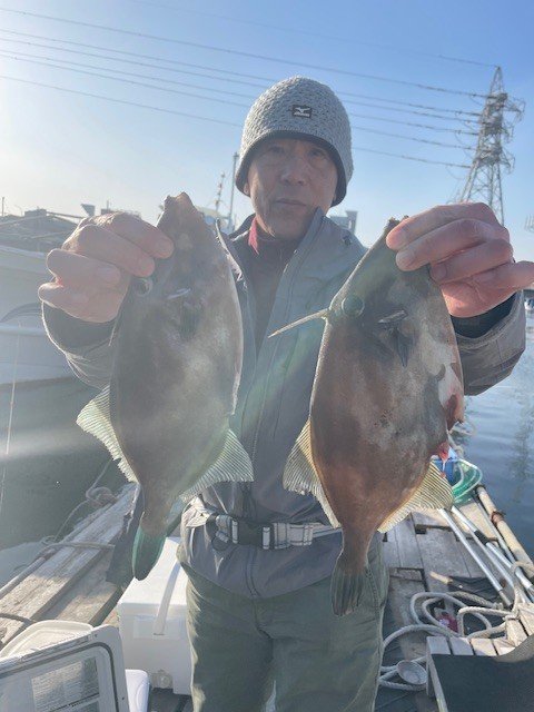 ウマヅラ(ウマヅラハギ)