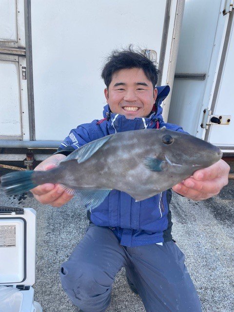 ウマヅラ(ウマヅラハギ)