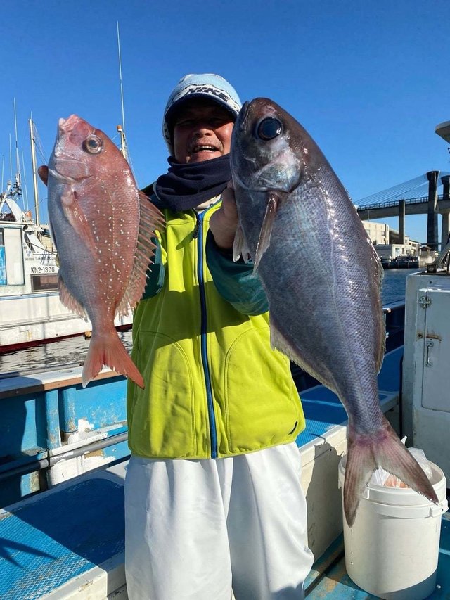 マダイ・メダイ