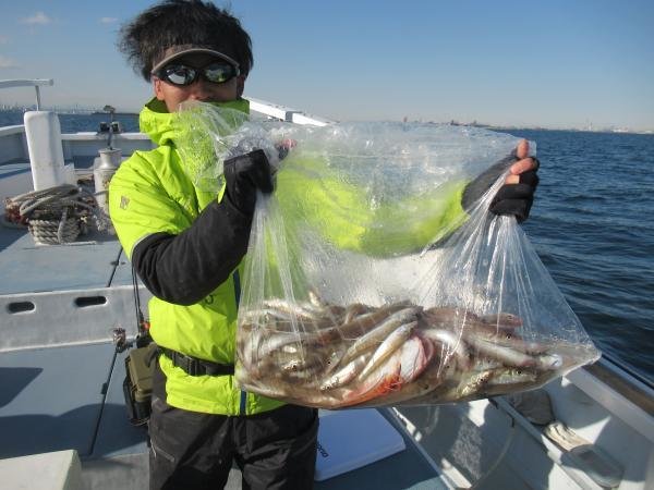 シロギス・ホウボウ