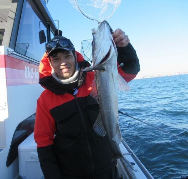 シーバス(スズキ)