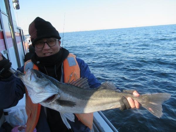 シーバス(スズキ)