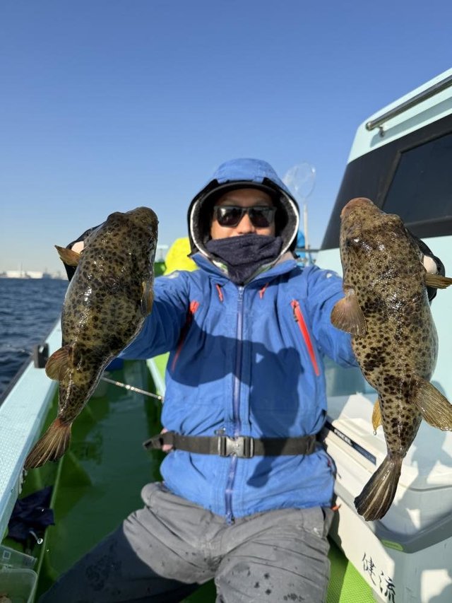 フグ(アカメフグ)