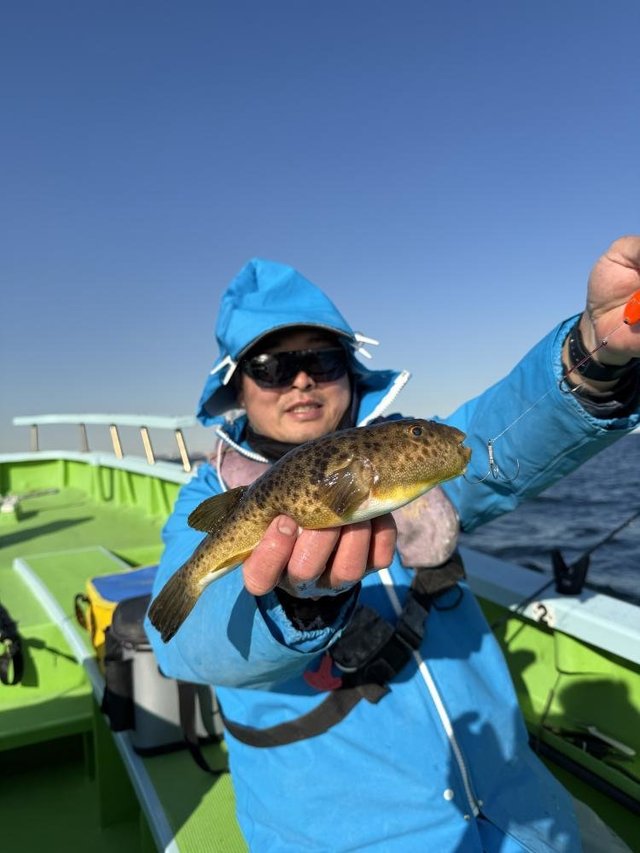 フグ(ショウサイフグ)