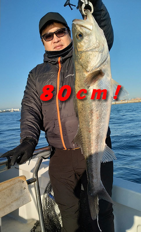 シーバス(スズキ)