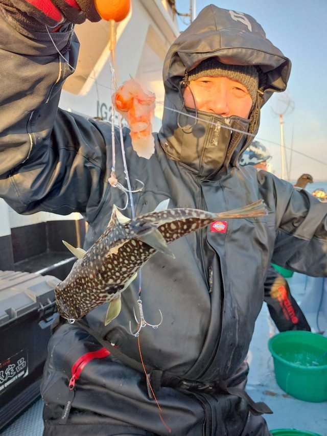 ショウサイフグ