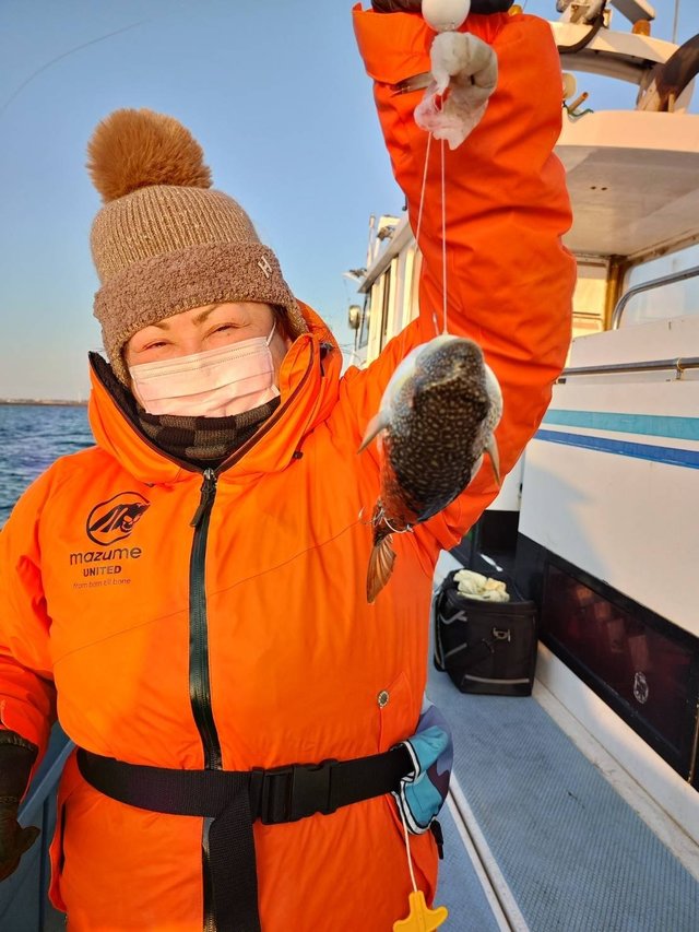 ショウサイフグ