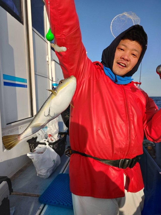 ショウサイフグ