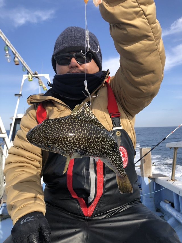 ショウサイフグ