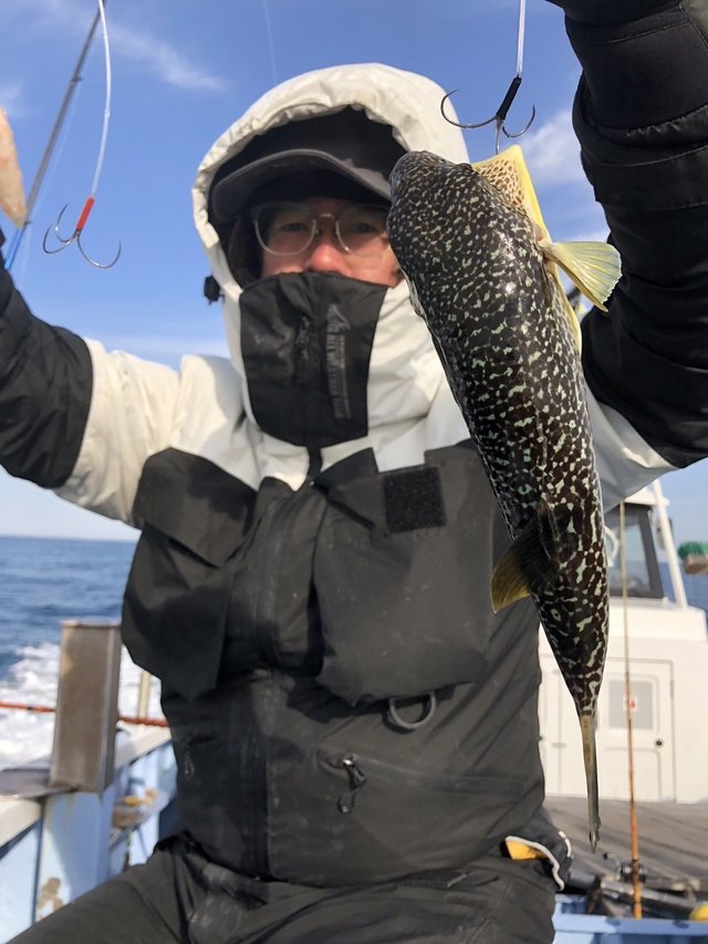 ショウサイフグ