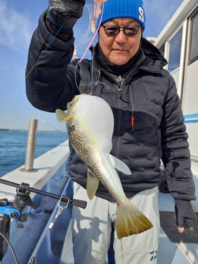 ショウサイフグ