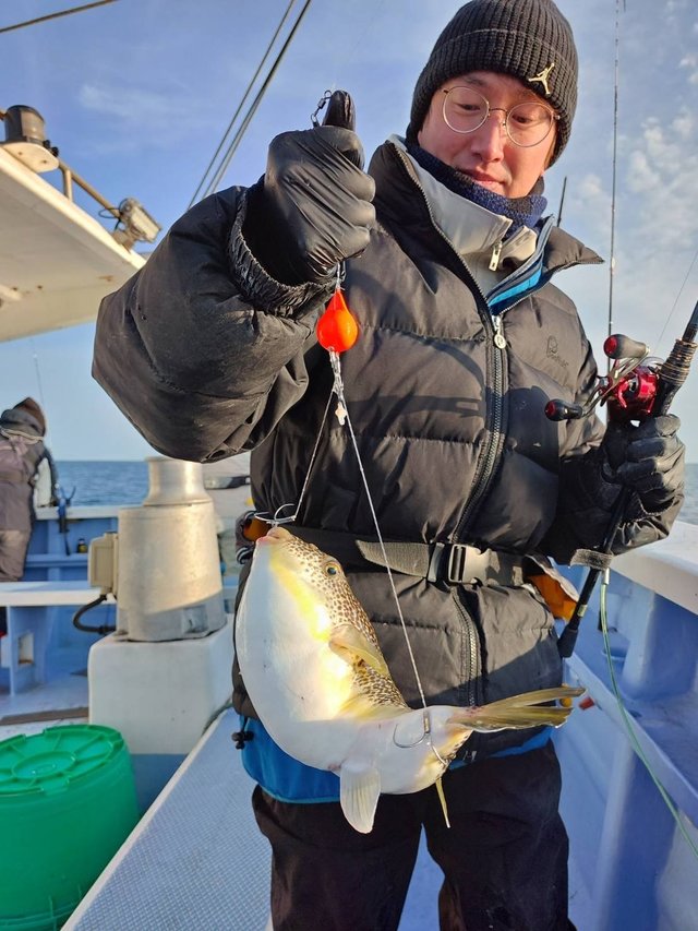 ショウサイフグ