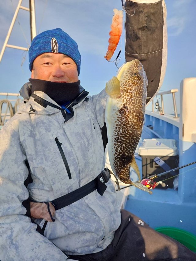 ショウサイフグ