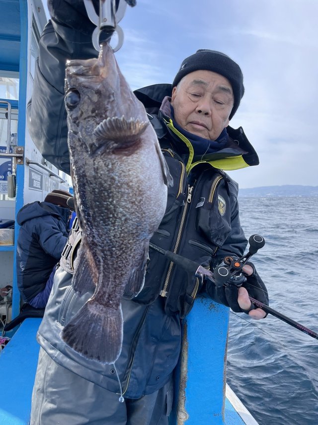 マゾイ(キツネメバル)